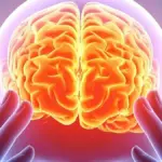 Proč zkušení vědci studují společný otisk pěti psychedelik v mozku