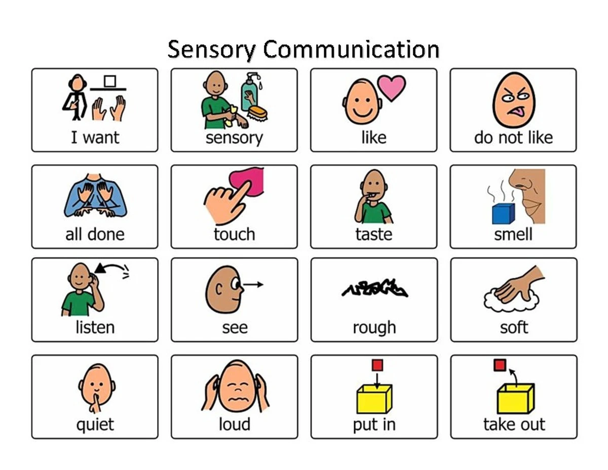 Proč zkušení vědci mění pohled na autismus a co v komunikaci stále přehlížíme - image 1