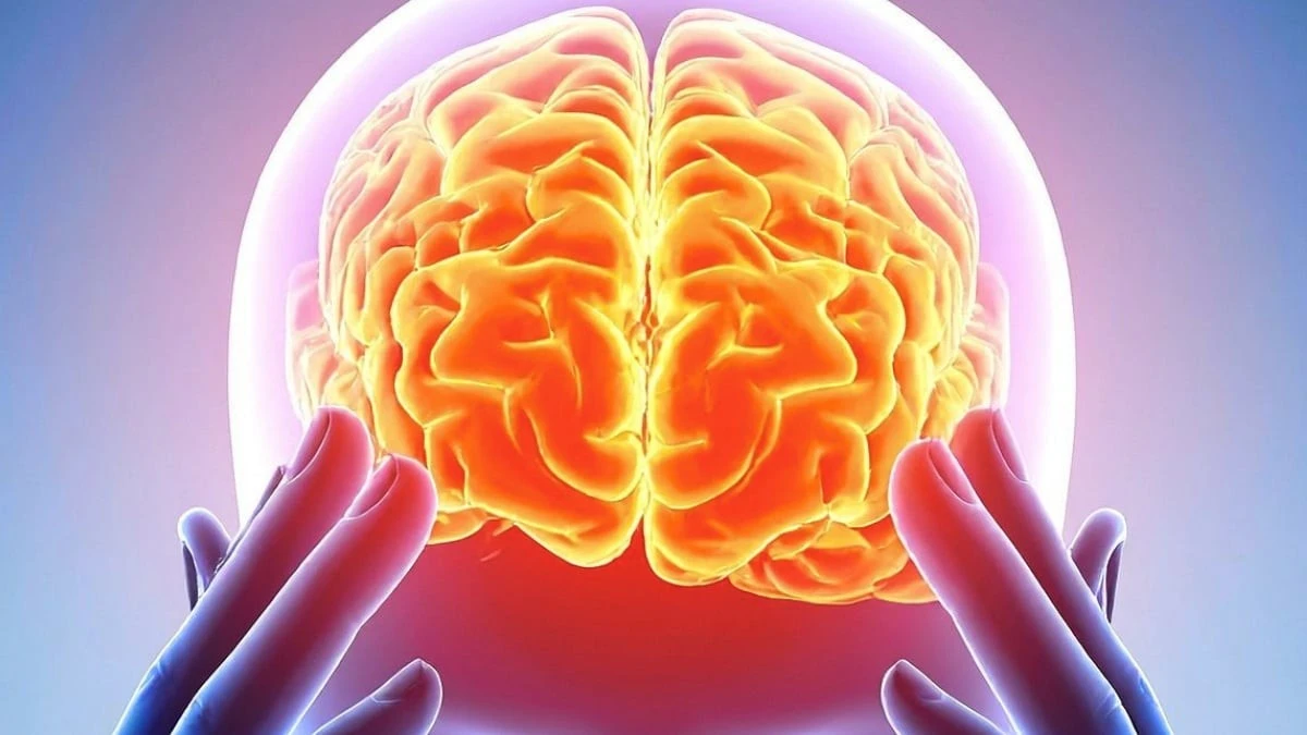 Proč zkušení vědci studují společný otisk pěti psychedelik v mozku