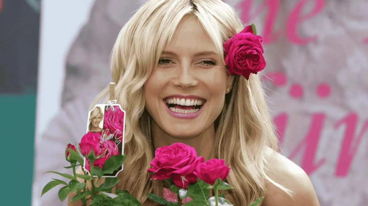 Proč zkušení zahradníci hledají v zahradnictvích právě fialovou růži Heidi Klum