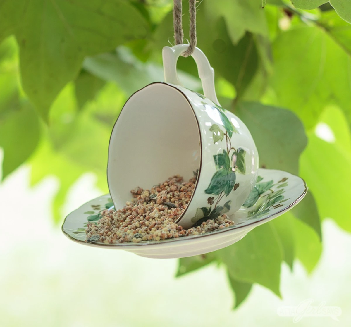 Proč zkušení zahradníci v dubnu věší na stromy staré hrnky - image 1