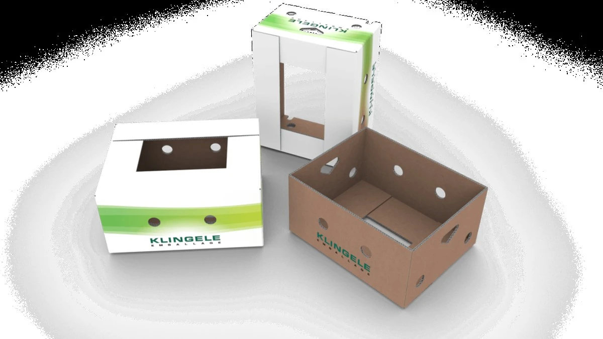 Proč zkušení zelináři v obchodech nevyhazují tyhle malé sáčky z krabic od banánů - image 1