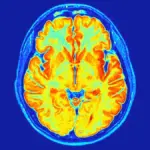 Vědci objevili skrytou mutaci v genu RNU2-2, která mění pohled na vývoj dětí