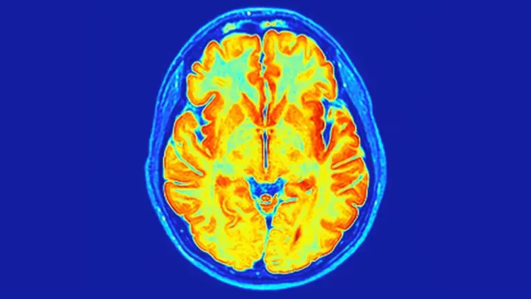 Vědci objevili skrytou mutaci v genu RNU2-2, která mění pohled na vývoj dětí