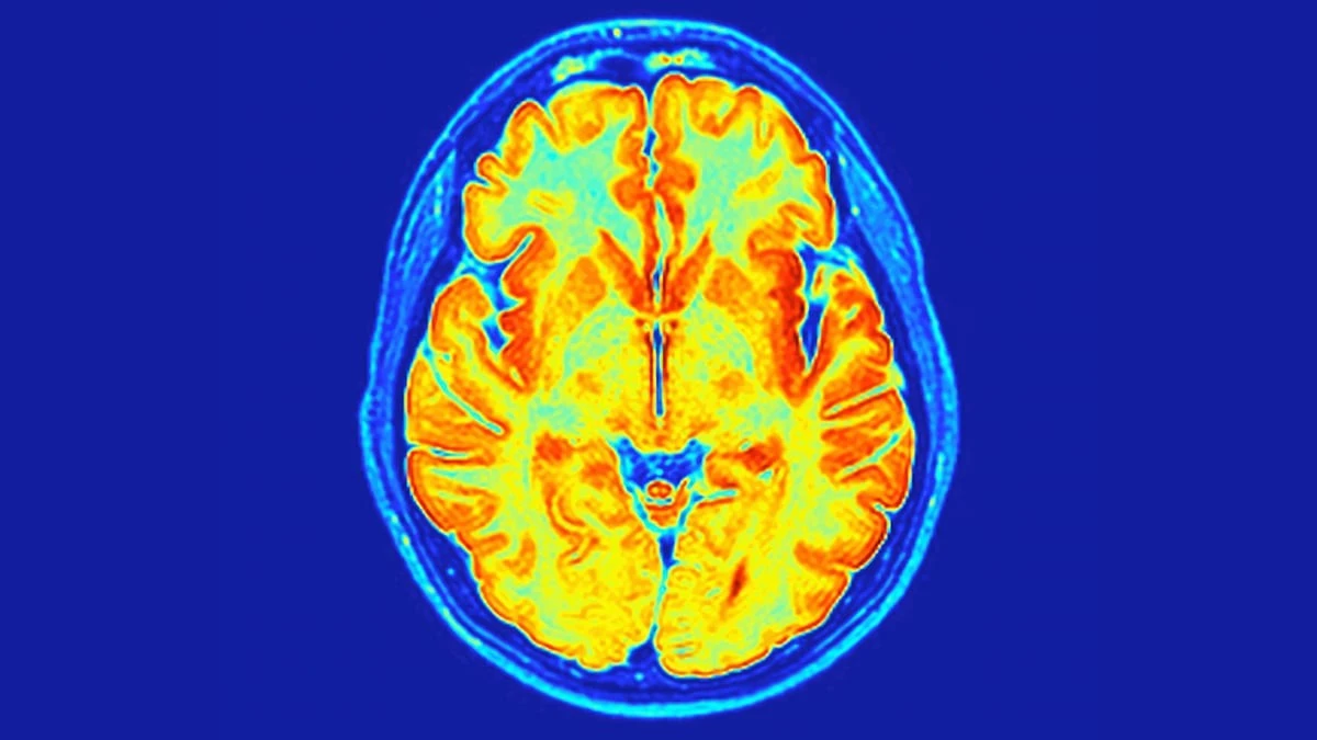 Vědci objevili skrytou mutaci v genu RNU2-2, která mění pohled na vývoj dětí