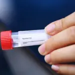 Proč má 1,3 milionu lidí DNA stejnou jako osadníci ze dvou lodí z roku 1634
