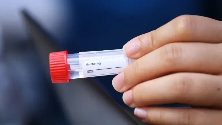 Proč má 1,3 milionu lidí DNA stejnou jako osadníci ze dvou lodí z roku 1634
