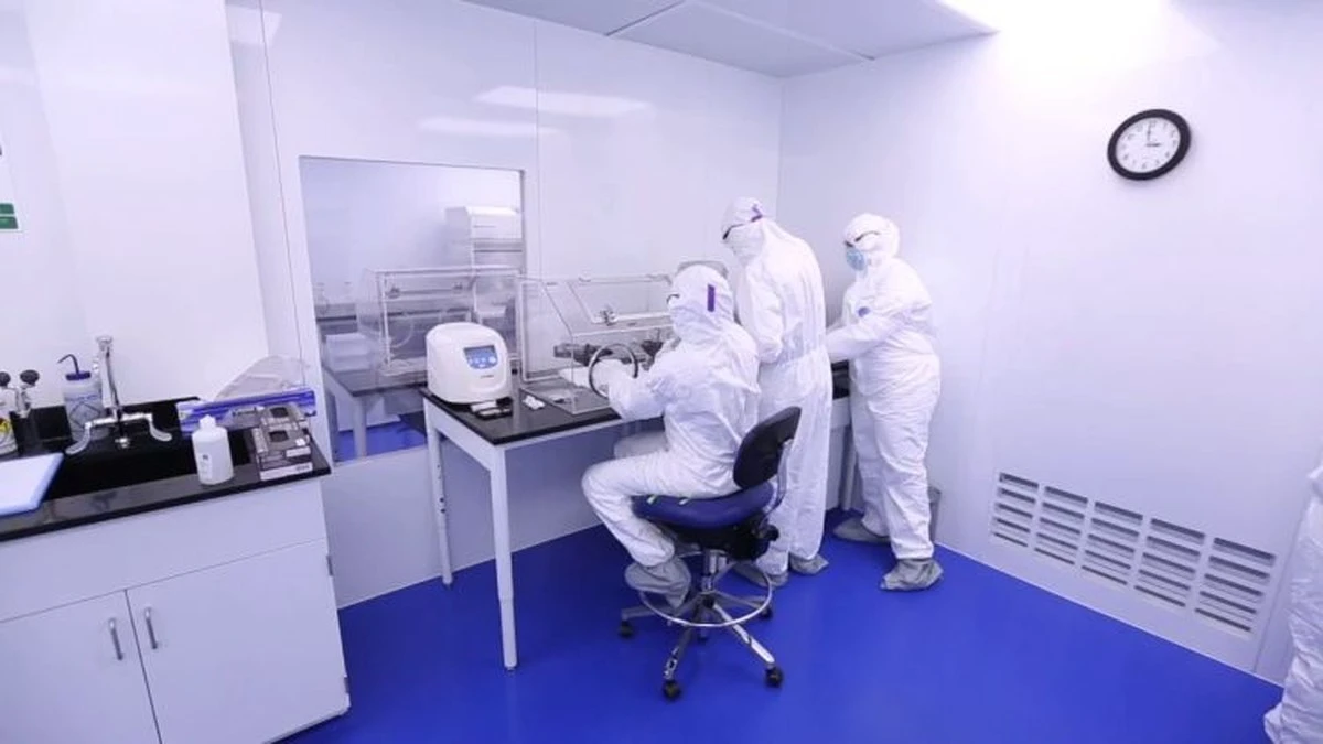 Proč má 1,3 milionu lidí DNA stejnou jako osadníci ze dvou lodí z roku 1634 - image 1