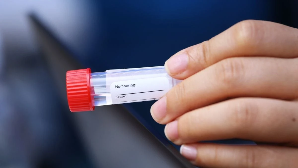 Proč má 1,3 milionu lidí DNA stejnou jako osadníci ze dvou lodí z roku 1634