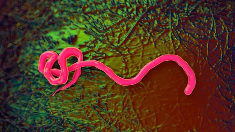 Proč se experti obávají varianty eboly v Gomě, na kterou neexistuje vakcína