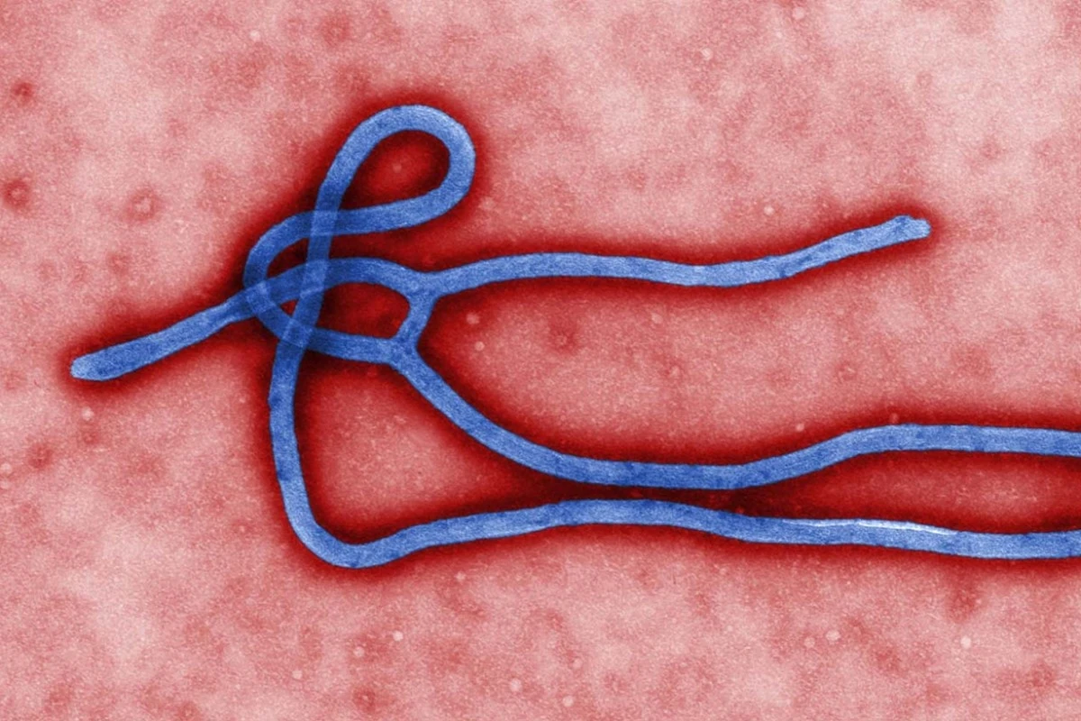 Proč se experti obávají varianty eboly v Gomě, na kterou neexistuje vakcína - image 1