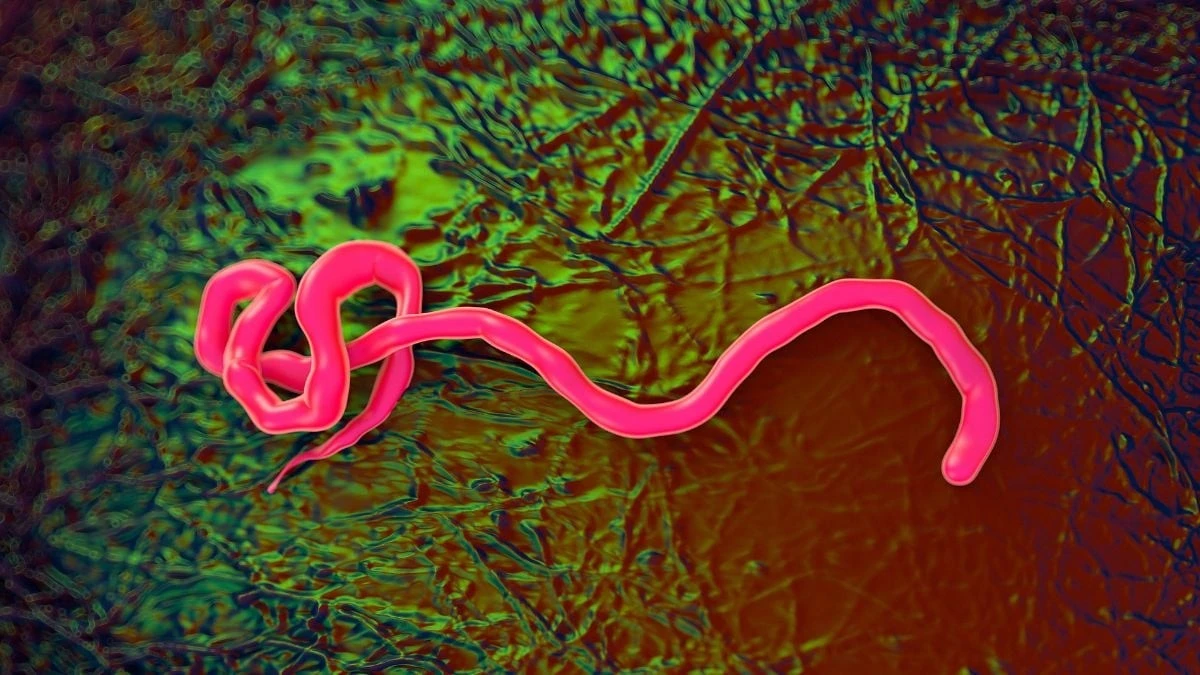 Proč se experti obávají varianty eboly v Gomě, na kterou neexistuje vakcína