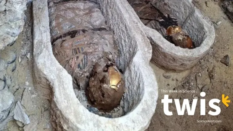 Proč staří Egypťané balili mumie do stránek z Iliady