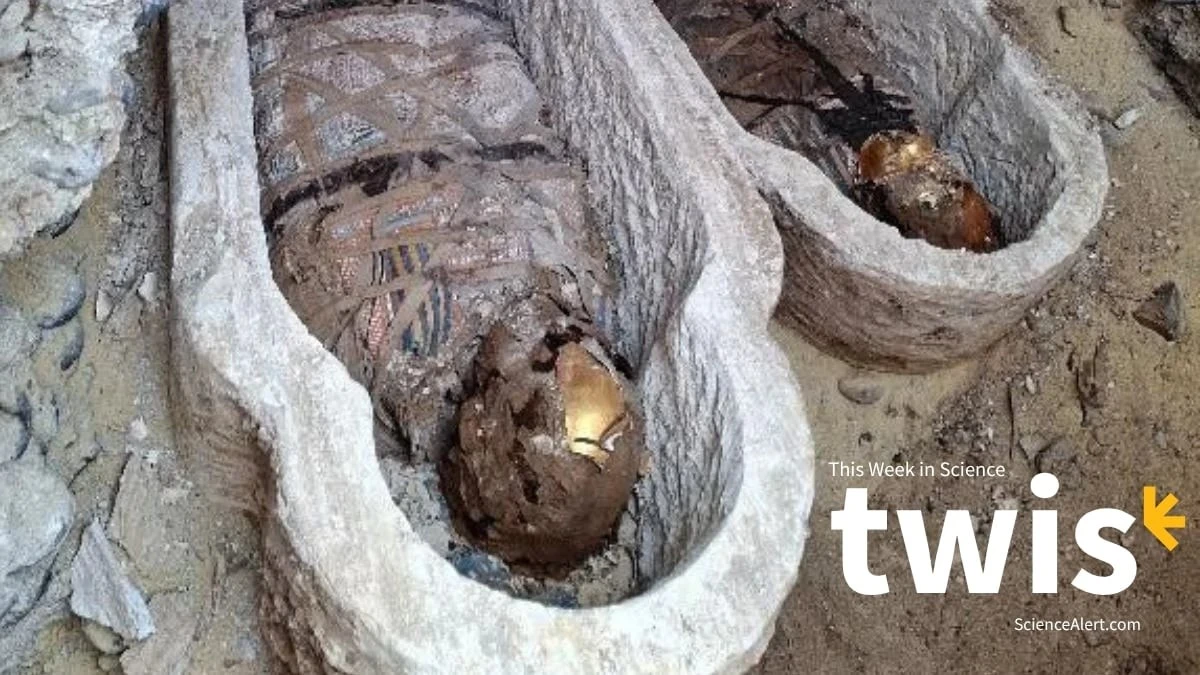 Proč staří Egypťané balili mumie do stránek z Iliady
