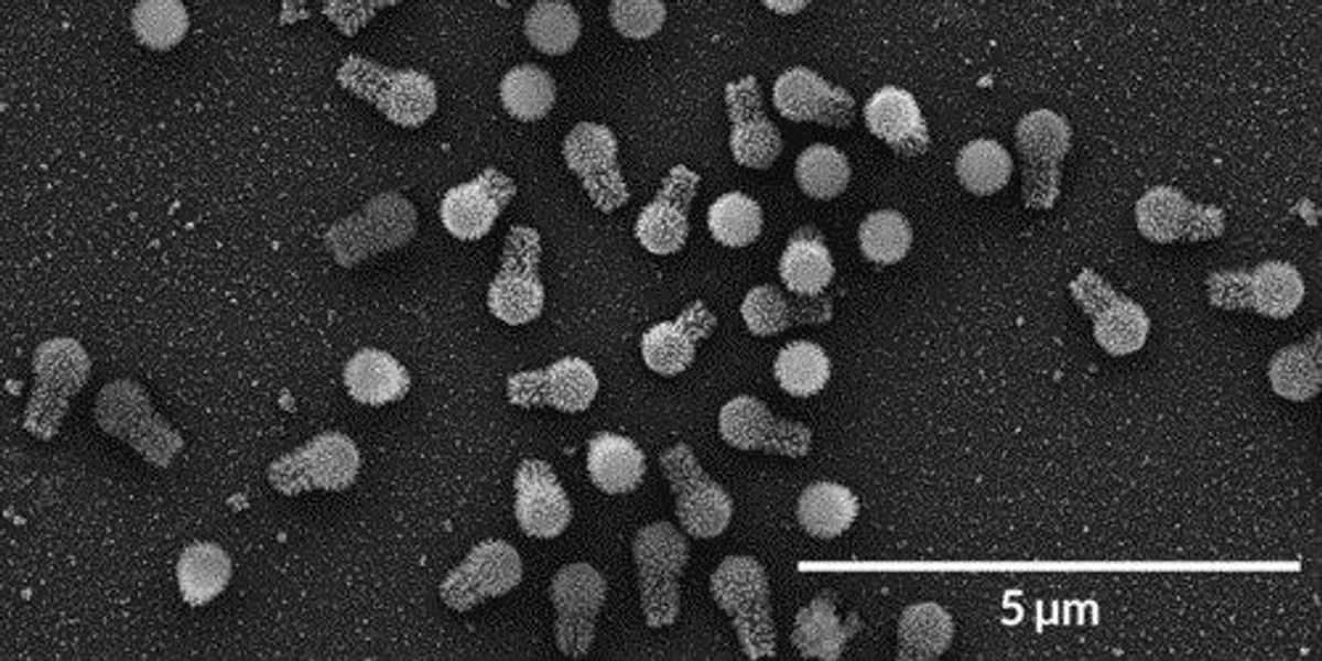 Proč vědci v japonské řece objevili virus, který přepracoval vnitřek buňky - image 1