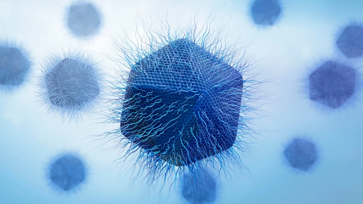 Proč vědci v japonské řece objevili virus, který přepracoval vnitřek buňky
