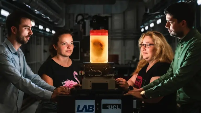 Proč vědci v novém 3D atlasu těla zkoumají struktury 50krát tenčí než lidský vlas