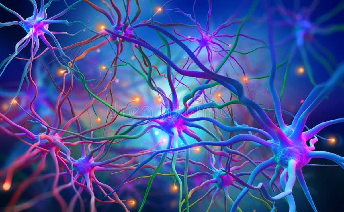 Proč vědci začali podávat psilocybin lidem, kteří nikdy nezkusili psychedelika - image 1