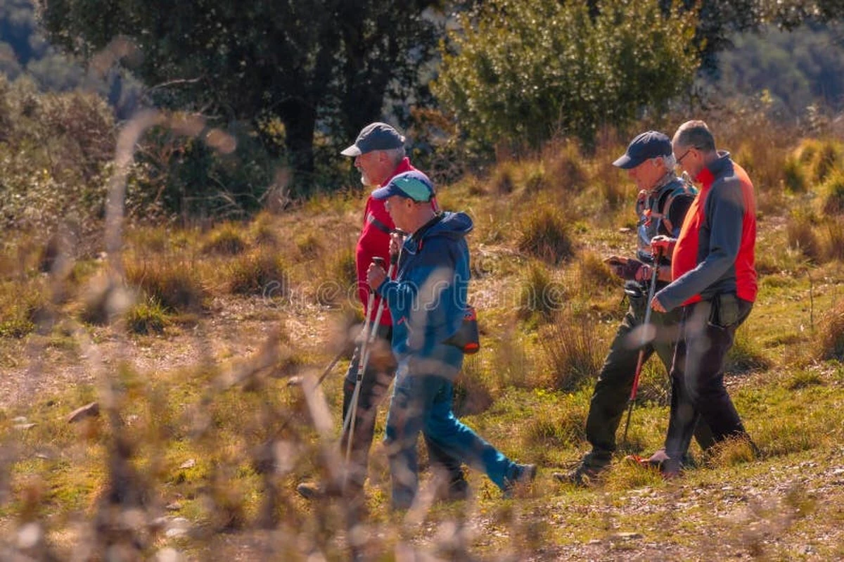 Proč zkušení fyzioterapeuti radí při bolesti kloubů neodpočívat - image 1
