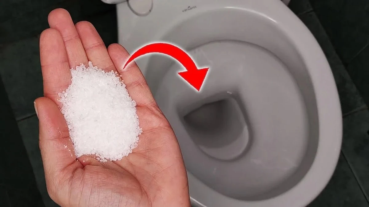 Proč zkušení hostitelé sypou kyselinu citronovou do toalety místo drahé chemie