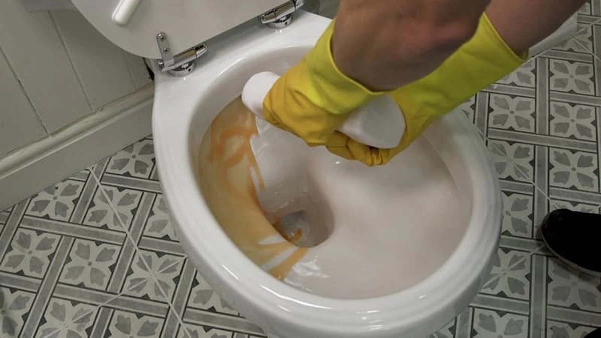 Proč zkušení hostitelé sypou kyselinu citronovou do toalety místo drahé chemie - image 1