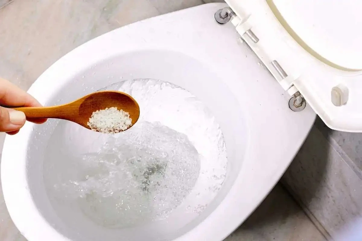Proč zkušení hostitelé sypou lžíci soli do toalety před spaním - image 1