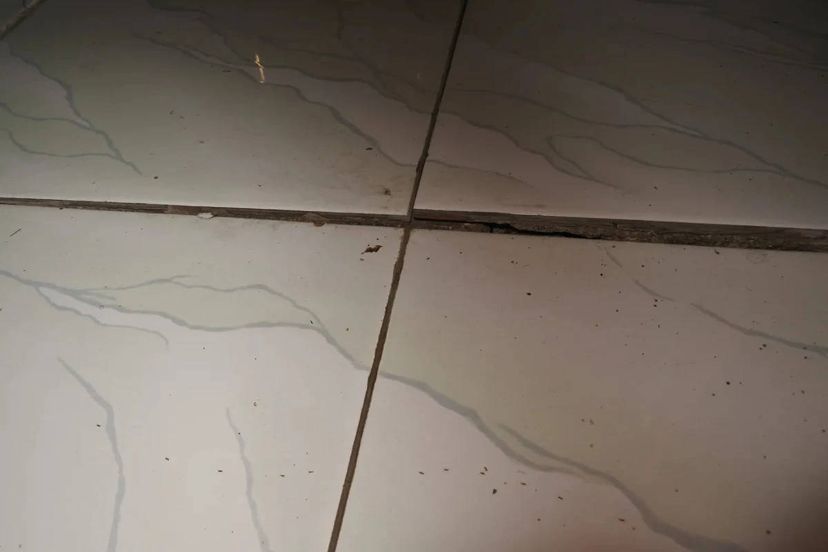 Proč zkušení mistři nikdy nepokládají dlažbu přímo na starý beton