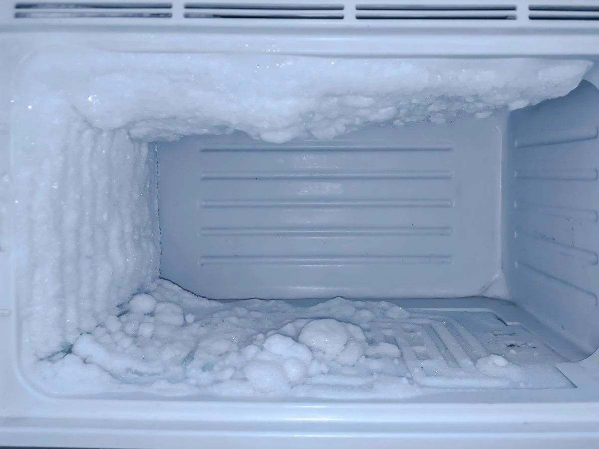 Proč zkušení opraváři doporučují jednou ročně vypnout i lednici No Frost - image 1