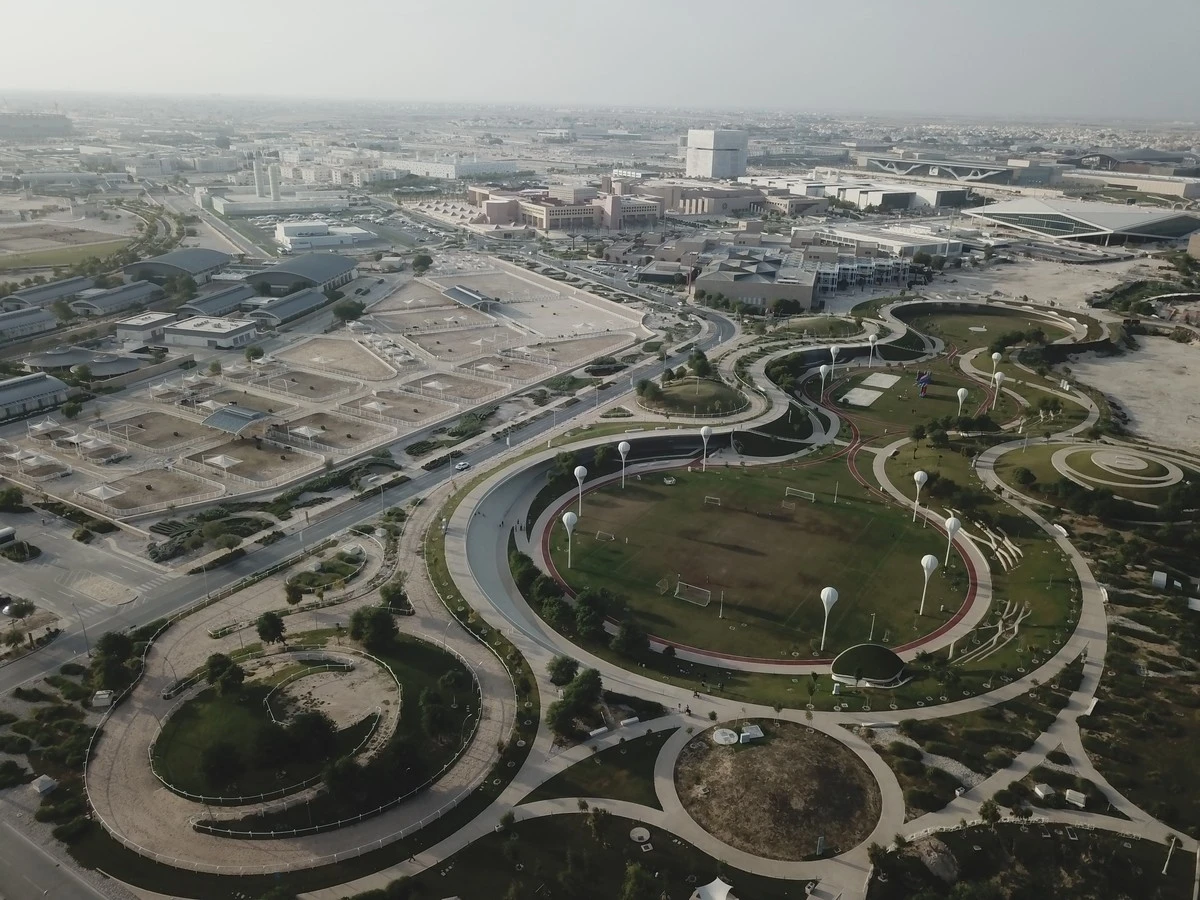 Proč zkušení urbanisté sázejí stromy jen na určitá místa - image 1
