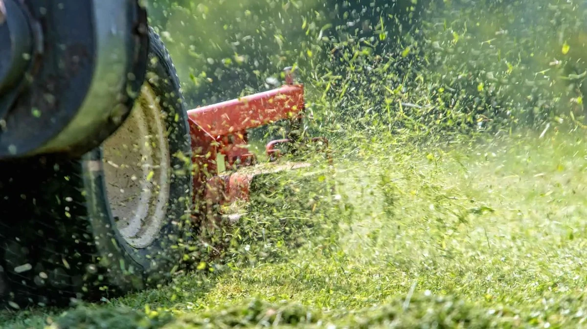 Proč zkušení zahrádkáři nikdy nesekají trávu radno po rose