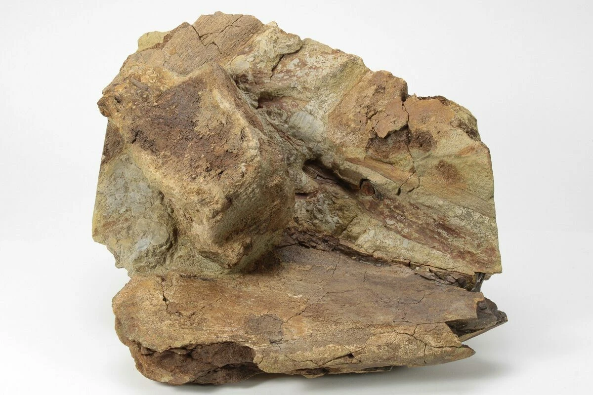 Proč zkušení zedníci vždy kontrolují druhou stranu pískovcových bloků - image 1