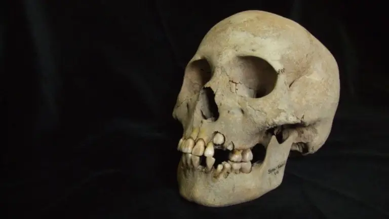 Proč archeologové u jezera Bajkal našli masové hroby dětí plné pravěkého moru