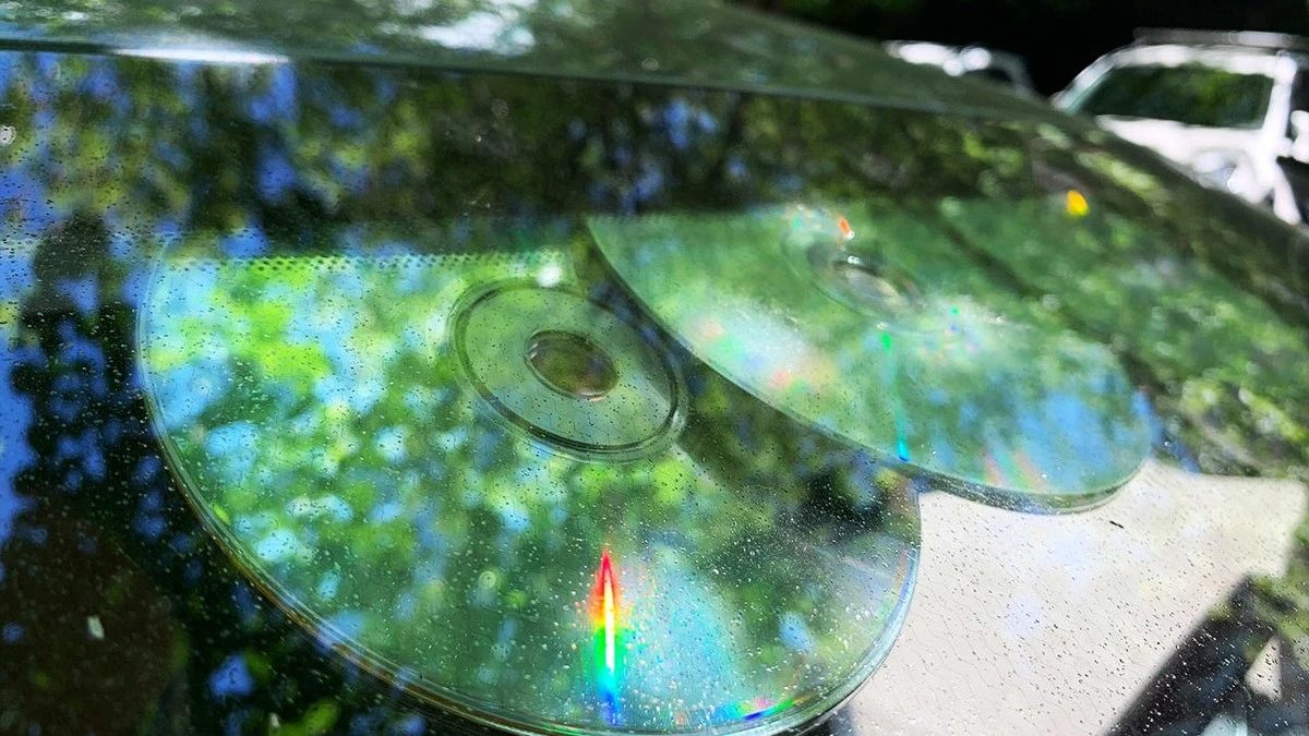 Proč mají zkušení řidiči kamionů na čelním skle stará CD: Praktický důvod vás překvapí - image 1