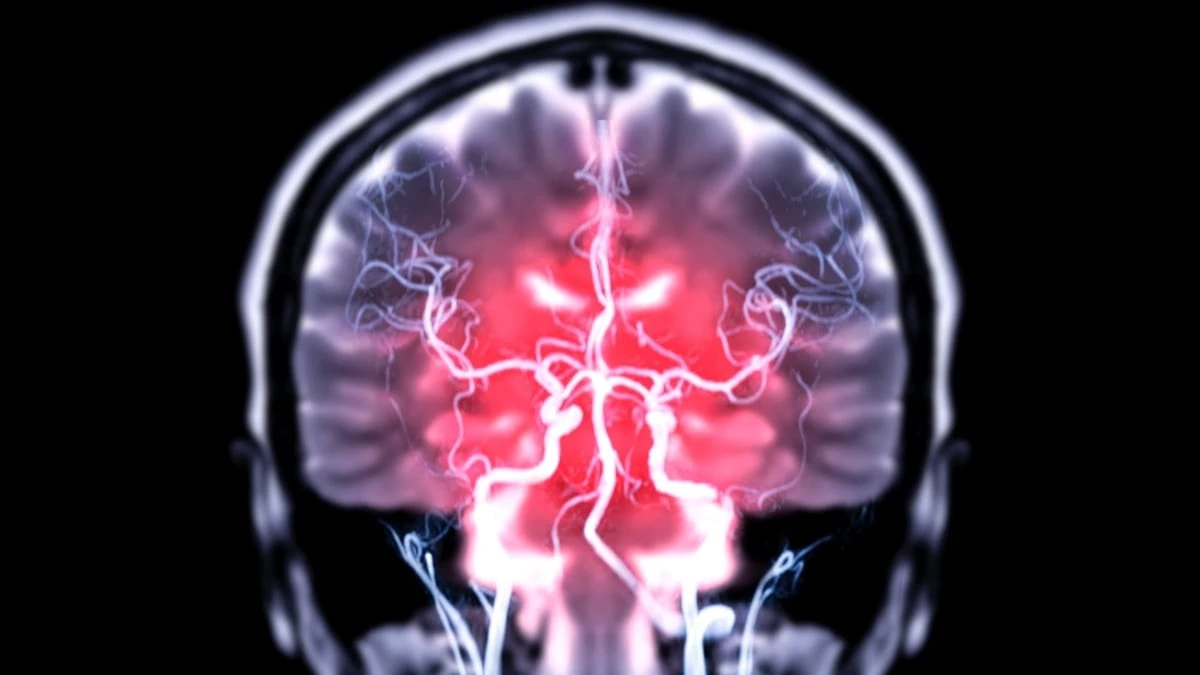 Proč někteří lidé nedokážou změnit svůj zvyk: Vědci našli v mozku konkrétní látku