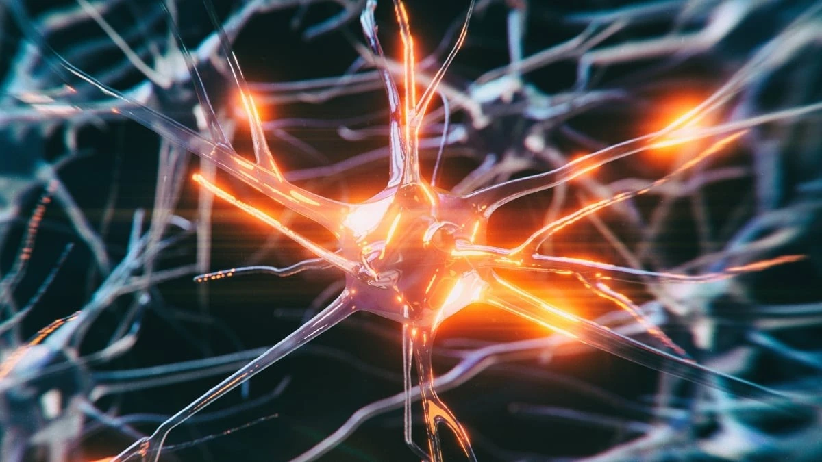 Proč se lékaři obávají o paměť mladých: Nejmladší případ Alzheimera nemá genetickou příčinu