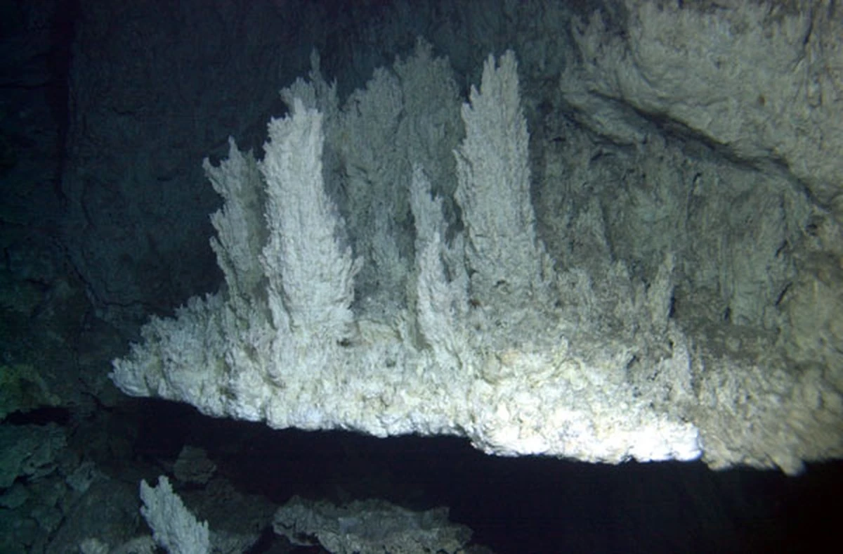 Proč vědci bedlivě sledují vápencové věže na dně oceánu - image 1