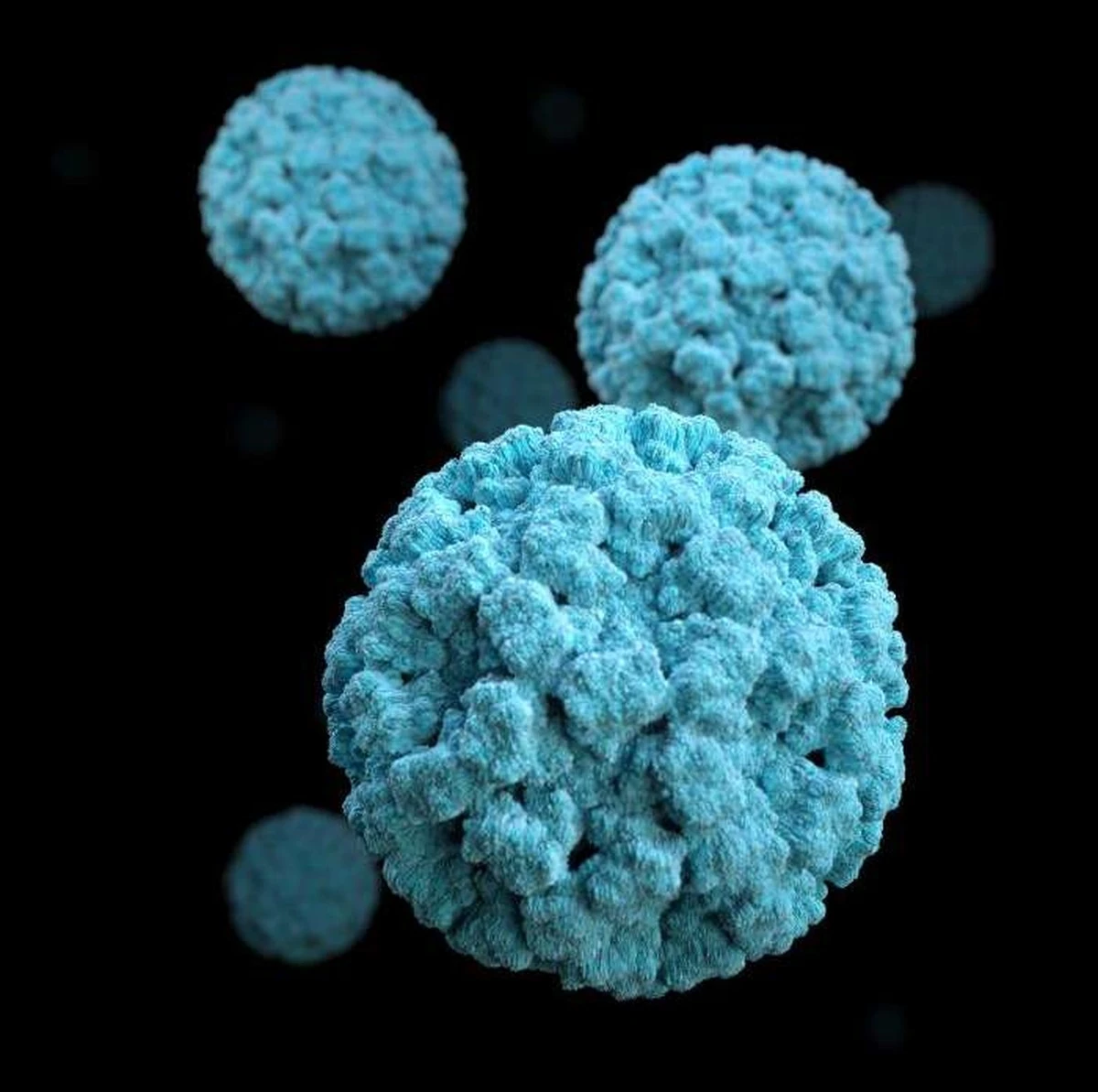 Proč vědci v bakteriích zdravých lidí hledají tento neznámý virus - image 1