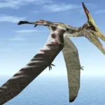 Proč vědci zkoumají kosti pterosaurů pomocí CT skenerů
