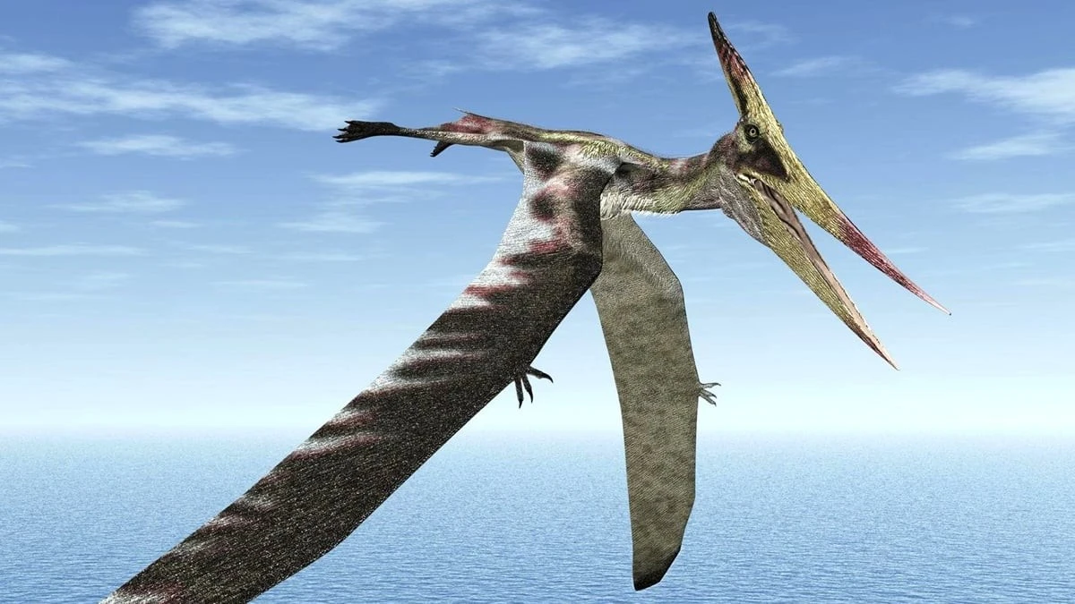 Proč vědci zkoumají kosti pterosaurů pomocí CT skenerů