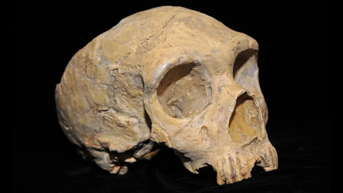 Proč zkušení archeologové přestávají věřit mýtu o vyhynutí neandrtálců
