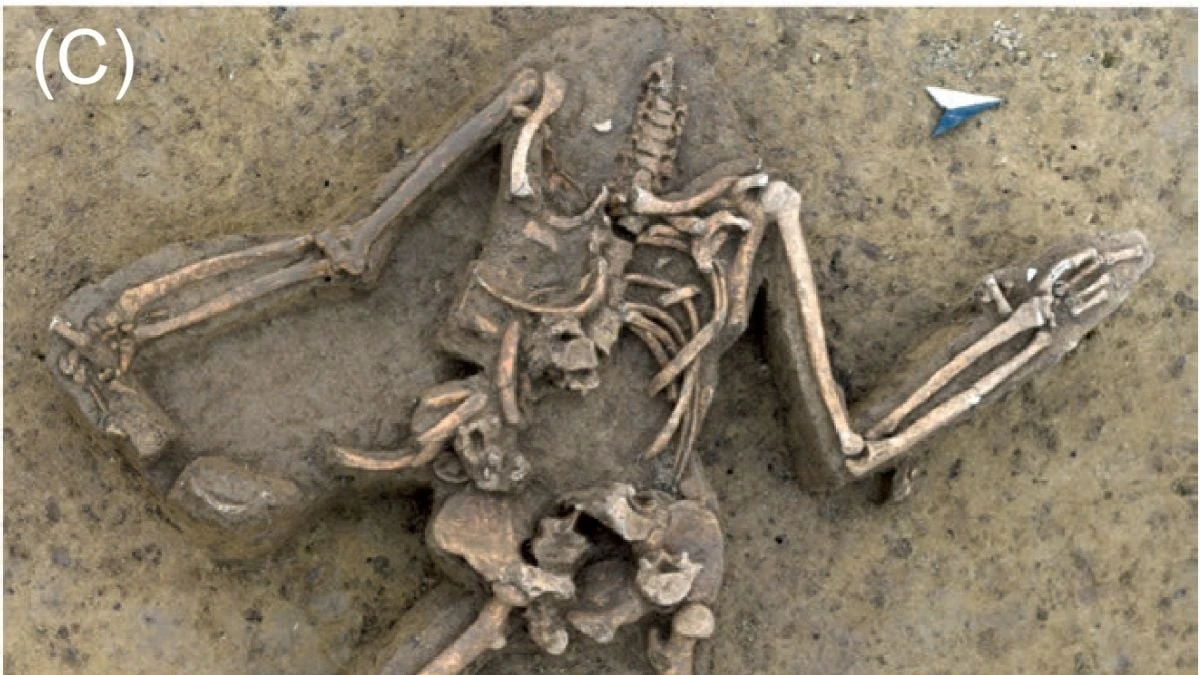 Proč zkušení archeologové u slovenské Vráble nacházejí těla bez hlav