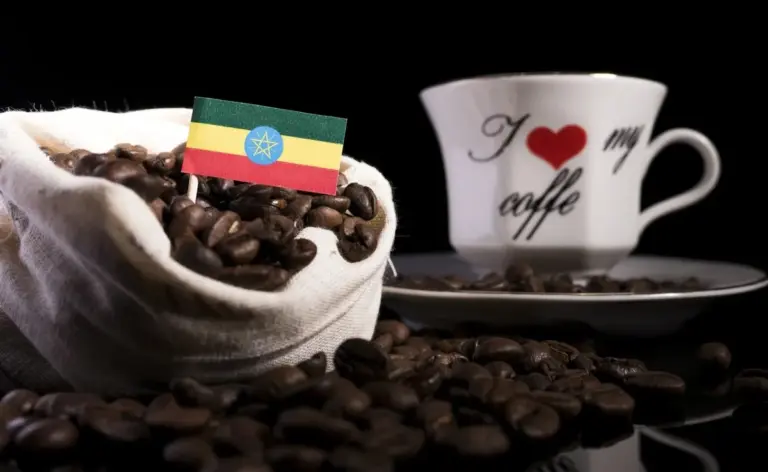 Proč zkušení baristé vždy sáhnou po etiopské kávě, když chtějí někoho skutečně ohromit