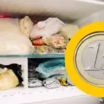 Proč zkušení cestovatelé dávají před dovolenou minci do mrazáku