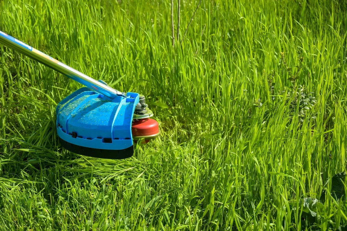 Proč zkušení chataři mění strunu v sekačce za kovový kotouč