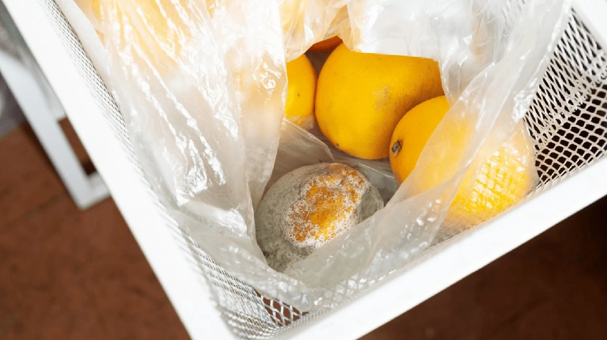 Proč zkušení kuchaři balí citrony do novinového papíru