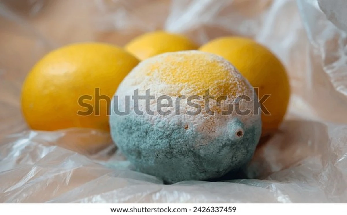 Proč zkušení kuchaři balí každý citron zvlášť do papírové utěrky - image 1