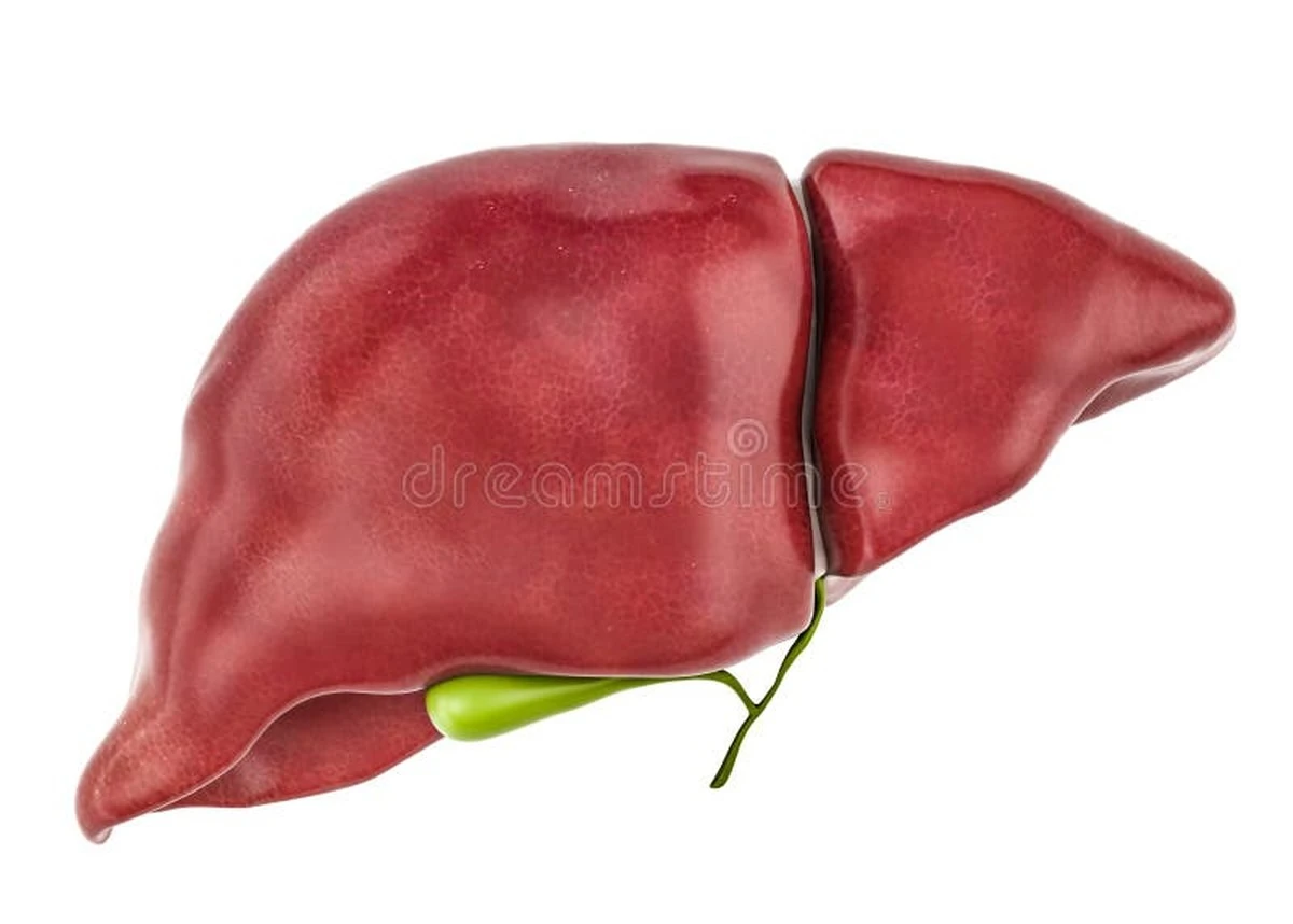 Proč zkušení lékaři varují před tichým nárůstem rakoviny jater - image 1