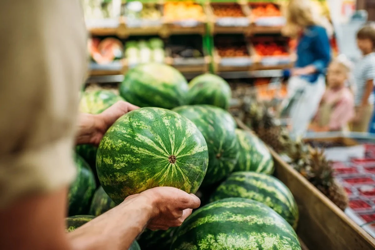 Proč zkušení nákupčí hledají na melounu hnědou pavučinu a žlutou skvrnu