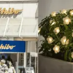 Proč zkušení pejskaři i zahrádkáři letos věší do truhlíků svítící květy