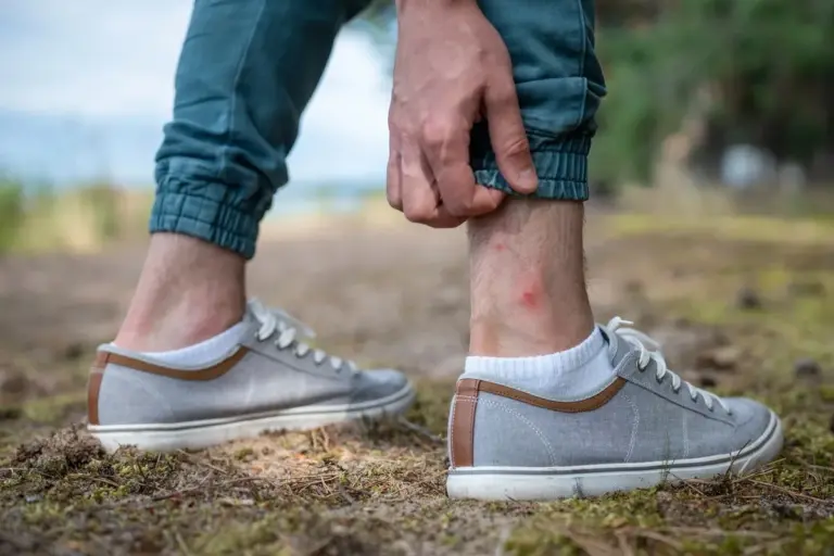 Proč letos zmizeli komáři? Odpověď se skrývá v kalužích na začátku dubna
